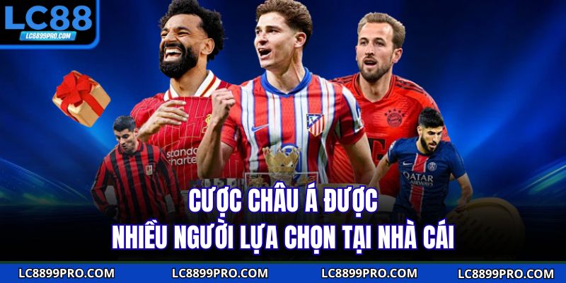 Cược châu Á được nhiều người lựa chọn tại nhà cái